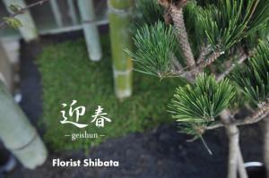 geishun20121