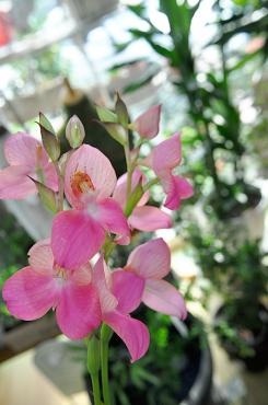 20150624