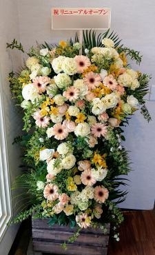 リニューアルオープンの御祝｜「フローリスト　シバタ」　（兵庫県三木市の花キューピット加盟店 花屋）のブログ