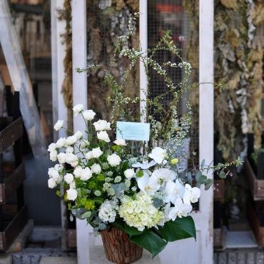開店の御祝「フローリスト　シバタ」（兵庫県三木市の花屋）のギャラリー写真