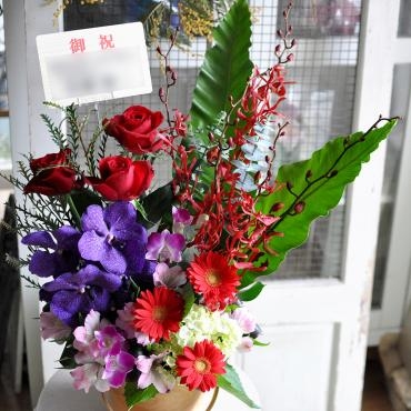 リニューアルオープンの御祝に｜「フローリスト　シバタ」　（兵庫県三木市の花キューピット加盟店 花屋）のブログ