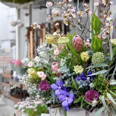 開店祝のアレンジメント「フローリスト　シバタ」（兵庫県三木市の花屋）のギャラリー写真