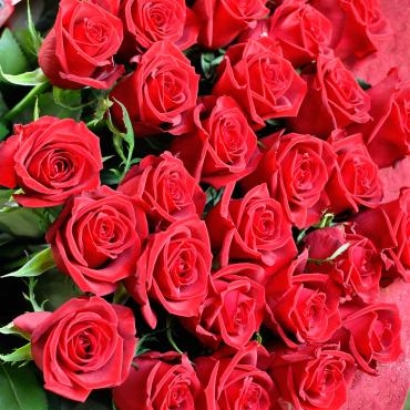 記念日にバラの花束｜「フローリスト　シバタ」　（兵庫県三木市の花キューピット加盟店 花屋）のブログ