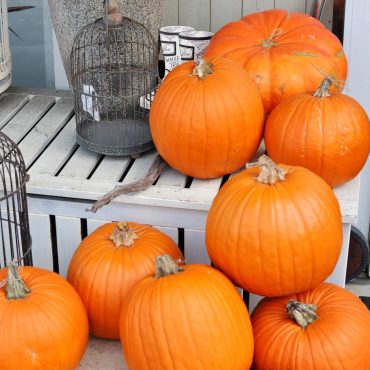 ハロウィンかぼちゃ再入荷|「フローリスト　シバタ」　（兵庫県三木市の花屋）のブログ