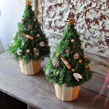 クリスマスツリーアレンジ|「フローリスト　シバタ」　（兵庫県三木市の花屋）のブログ